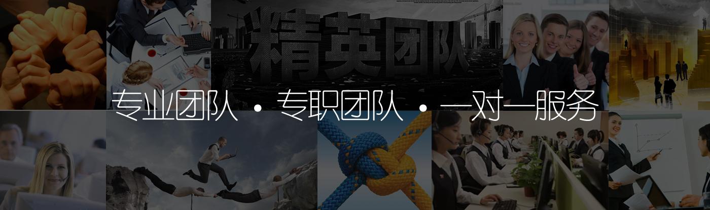 专业团队，专职团队，一对一服务